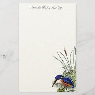 Papelaria Kingfisher Bird Wildlife Wetlands Pond Stationery