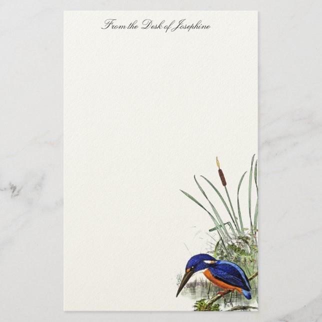 Papelaria Kingfisher Bird Wildlife Wetlands Pond Stationery (Frente)