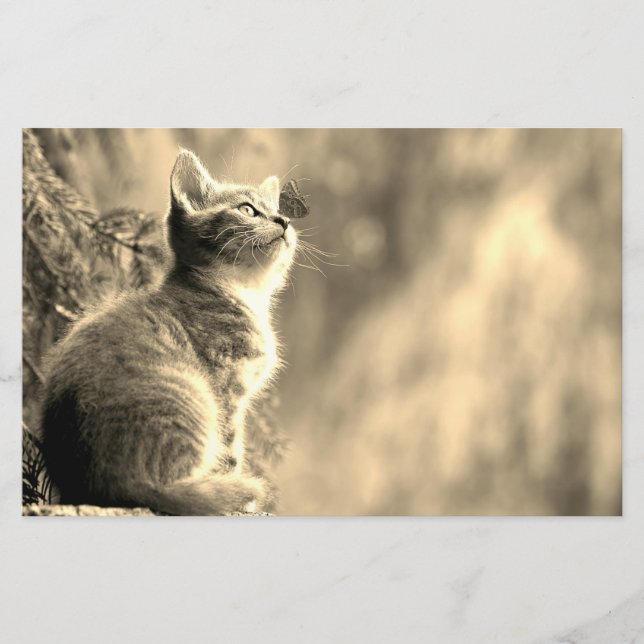 Papelaria Kitten Com Amigo De Borboleta (Frente)