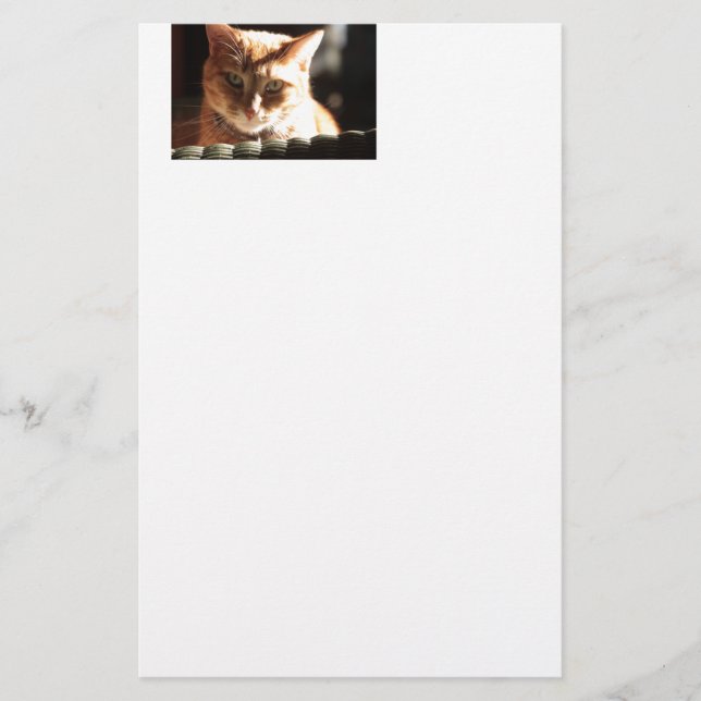 Papelaria Kute Gatinho! (Frente)