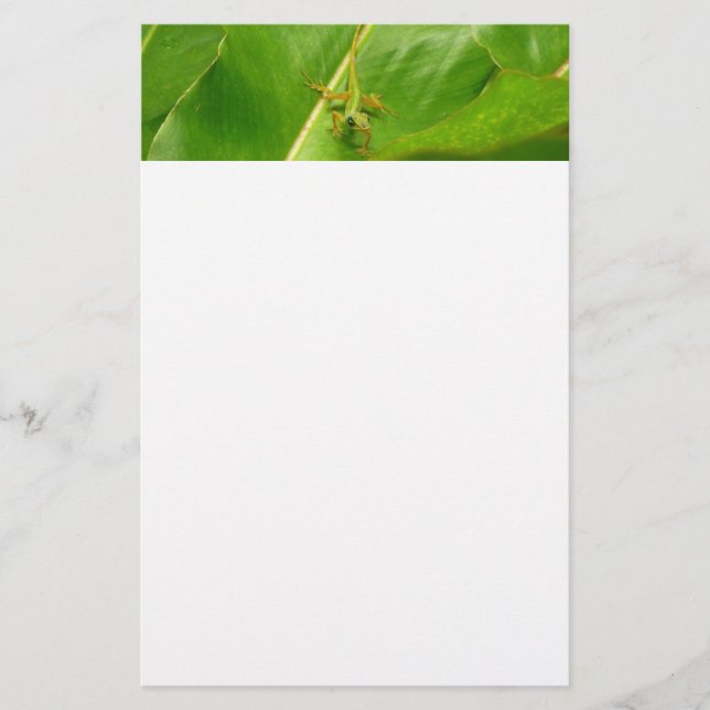 Papelaria Lagarto Verde na Folha Verde (Frente)