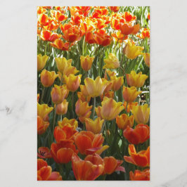 Papelaria Laranja-&-Amarelo-Tulips.jpg