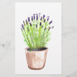 Papelaria Lavanda de plantas potes