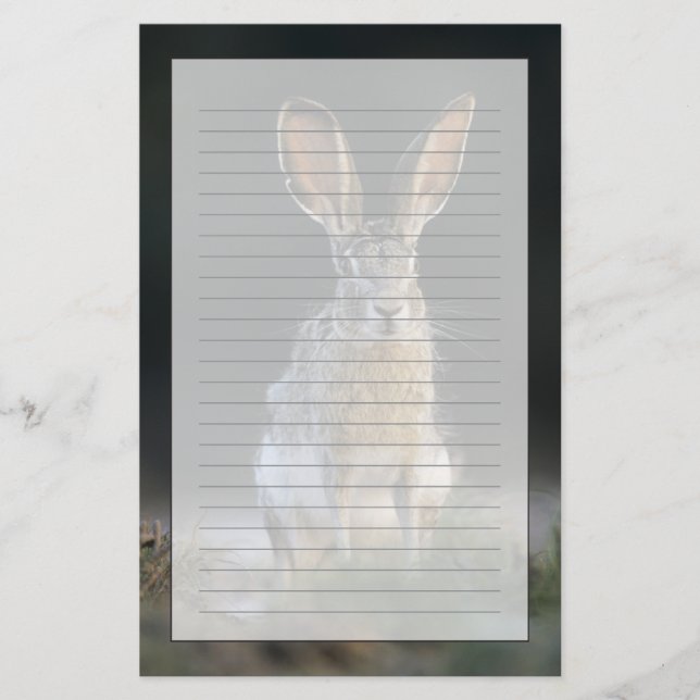 Papelaria Lebre-de-cauda-preta, Lepus californicus, 2 (Frente)