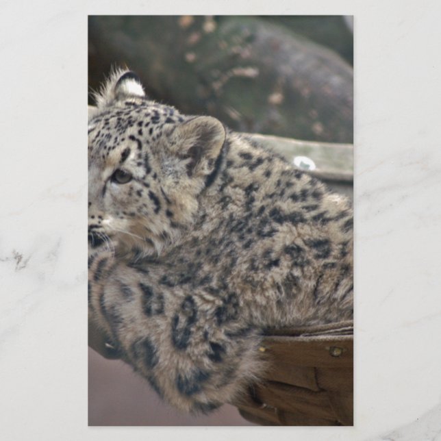 Papelaria Leopardo-das-neves (Frente)
