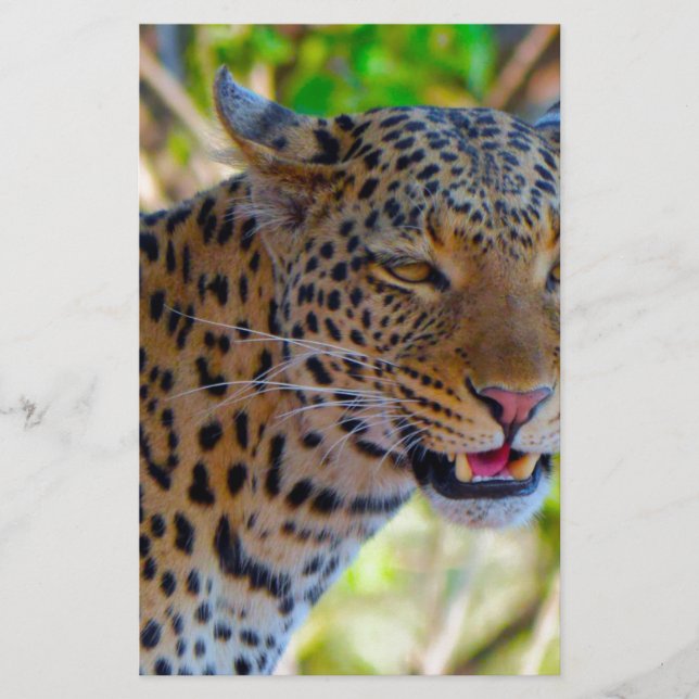 Papelaria Leopardo Manchado (Frente)