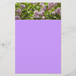 Papelaria Lilac Bush Lindas Flores de primavera Roxas