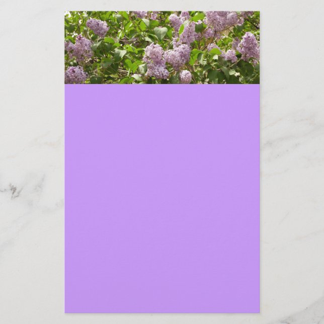 Papelaria Lilac Bush Lindas Flores de primavera Roxas (Frente)