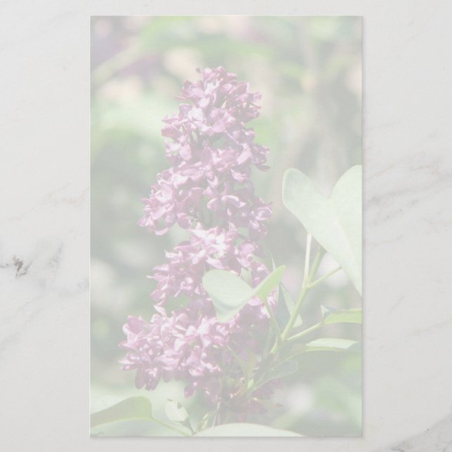 Papelaria Lilac doce (Frente)