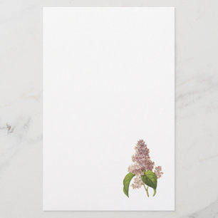 Papelaria lilac (sp do Syringa.) por Redouté