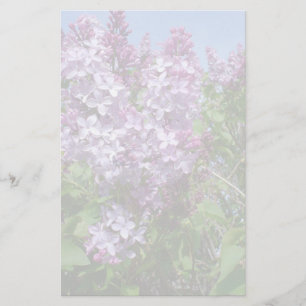 Papelaria Lilacs roxos Fade25