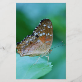Papelaria Linda Borboleta Danaus Plexippus na Folha.