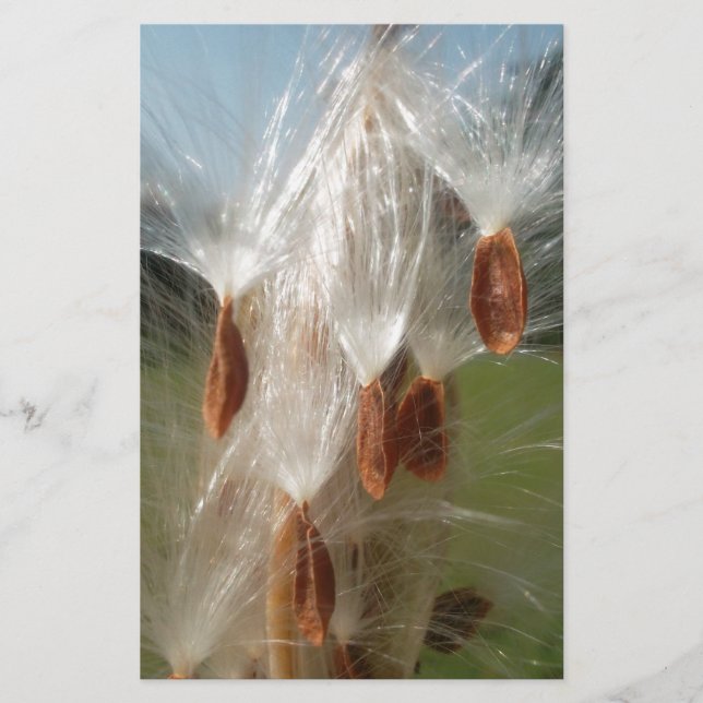 Papelaria Linda Mágica Milkweed: Um Design de Voo Skyward (Frente)