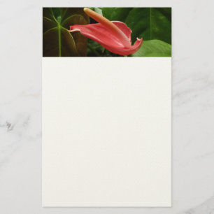 Papelaria Lírio de Calla Rosa Elegante Floral
