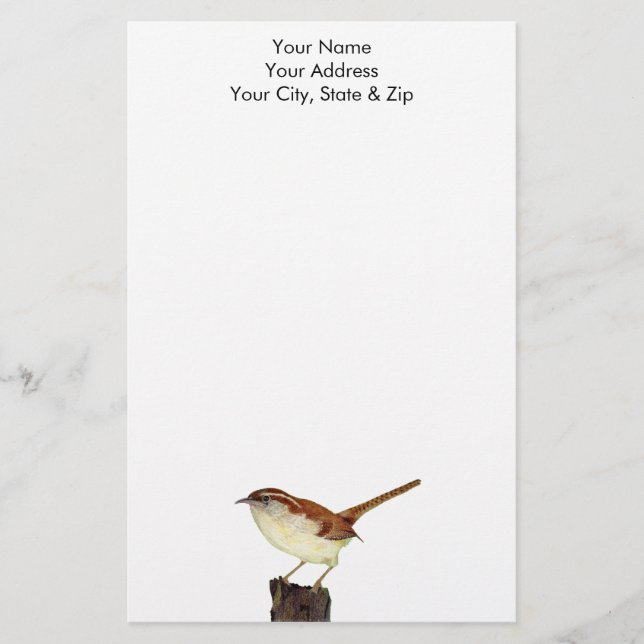 Papelaria Little Wren (Frente)