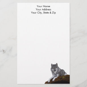Papelaria Lobo