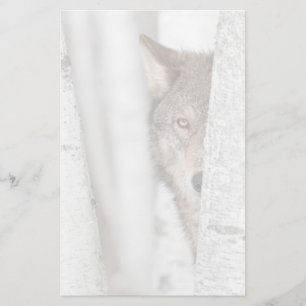 Papelaria Lobo cinzento (lúpus de Canis) atrás da árvore