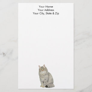 Papelaria Longhair Tabby Cat