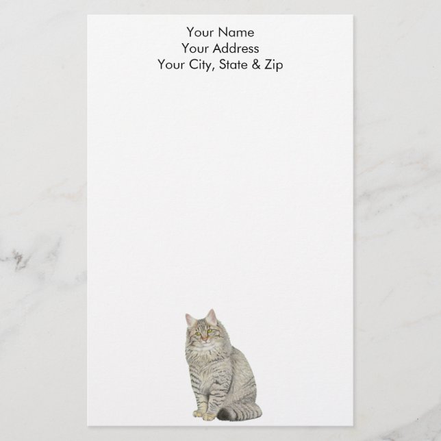 Papelaria Longhair Tabby Cat (Frente)