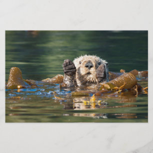 Papelaria Lontra de mar de ondulação