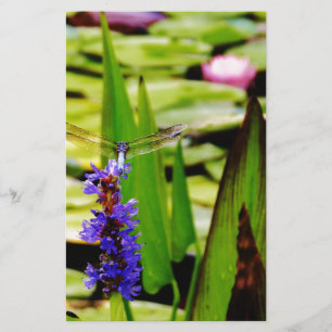 Papelaria Lótus e flor roxa