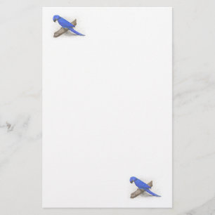 Papelaria Macaw