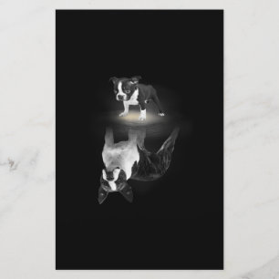 Papelaria Mãe de cão BostonTerrier Dog Dover Dift Mãe Pai