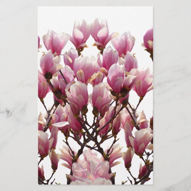 Papelaria MAGNÓLIAS ROSAS EM FLOR Flor de Primavera (Frente)