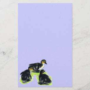 Papelaria Mallard Ducklings