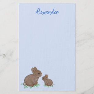 Papelaria Mamãe e Bunny Bonitinhos lindos em Azul-Véu