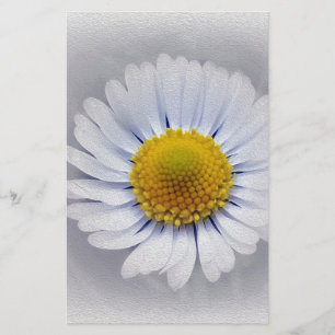 Papelaria margarida branca brilhante