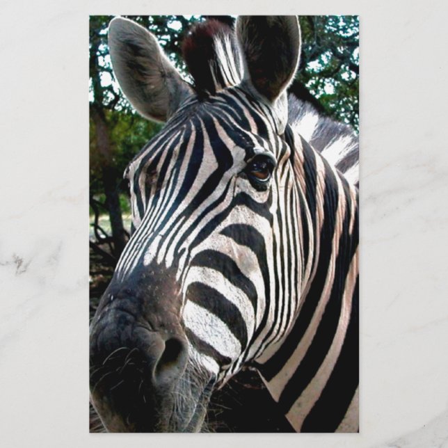 Papelaria Meu Amigo De Disquete (Frente)