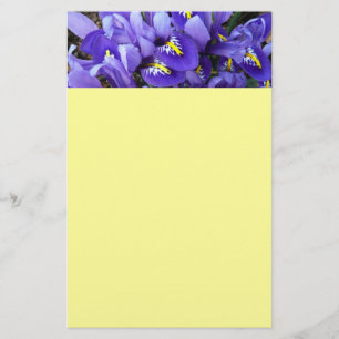 Papelaria Miniatura Azul Levanta Primavera Floral