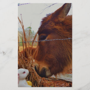 Papelaria Miniatura Cavalo Marrom e Coelhinho da Páscoa