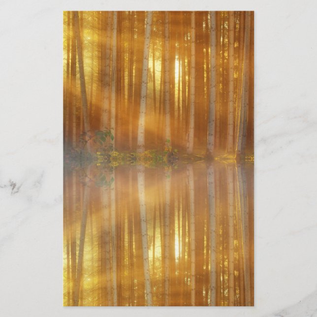 Papelaria Misty Forest Scene (Frente)