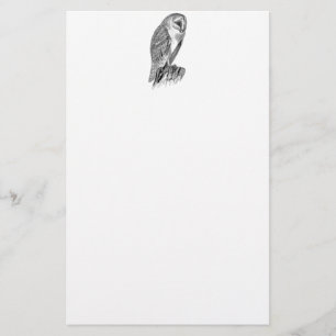 Papelaria Modelo da ilustração do pássaro da coruja de