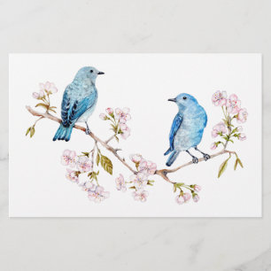Papelaria Montanha Bluebird na Seção Sakura