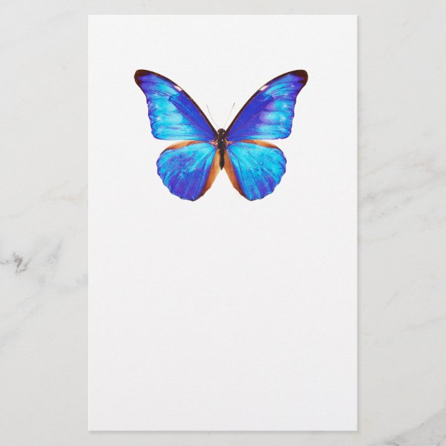 Papelaria “Morpho”の優良製品 (Frente)