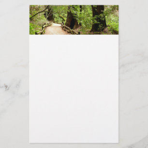 Papelaria Muir Woods Path II - Fotografia natural