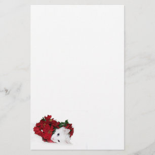 Papelaria Natal branco do gato