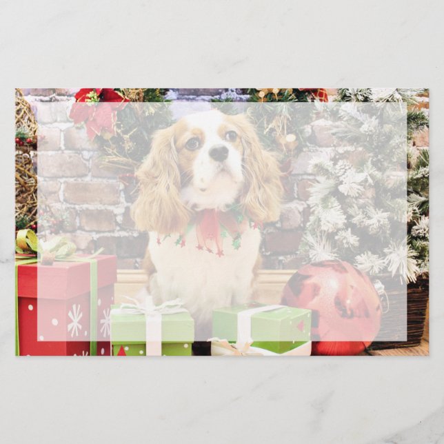 Papelaria Natal - Cavalier King Charles Spaniel Maverick (Frente)