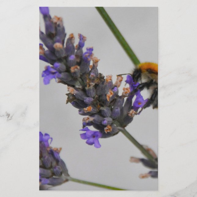 Papelaria Natures WonMaravilha Workers (Frente)