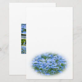 Papelaria NEMOPHILA(Baby Blue Eyes)