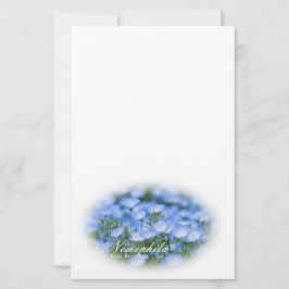 Papelaria NEMOPHILA(Baby Blue Eyes)