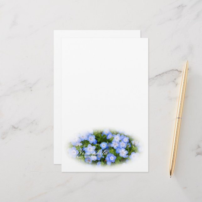 Papelaria NEMOPHILA（Baby Blue Eyes） (Frente/Verso In Situ)