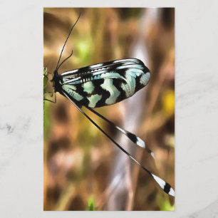 Papelaria Nemoptera bipennis Arte Insetada Com Mão