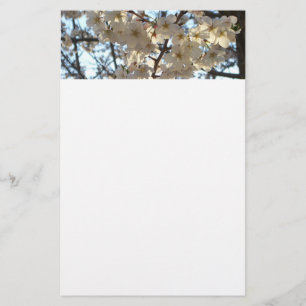 Papelaria Noite de Cherry Blossoms I Primavera Floral
