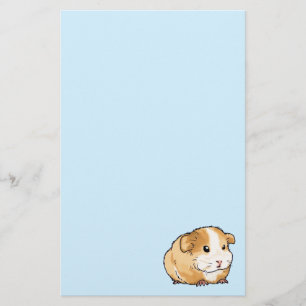 Papelaria novo e adorável cobaia