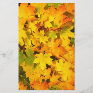 Papelaria O Autumn Mapee Deixa Papel Escrapbook