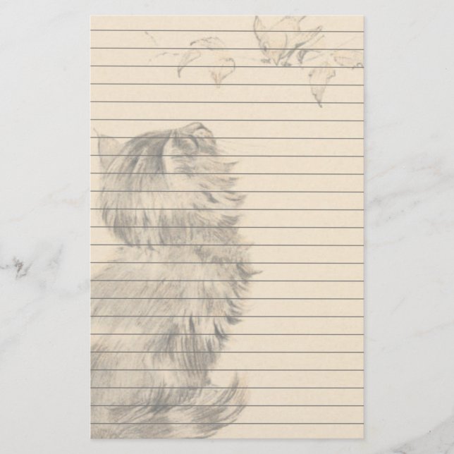 Papelaria O gatinho que olha os pássaros (Frente)